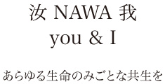 汝 NAWA 我